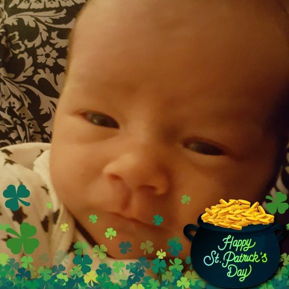 Meet your Posher, Jimi - Picture 1 of 4